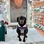 Mike Conti - @mike.conti74 - Instagram