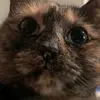Michael Coolbaugh - @michael.coolbaugh - TikTok