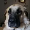 mikecooney415 - @mikecooney415 - TikTok