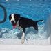 Michael Copas - Facebook