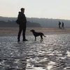 Mike Cornell - @cornellcanineetco - TikTok