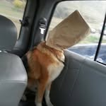 Mike Cornwall - @my_name_is_cornholio - Instagram