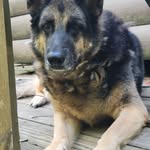 Mike Courson - @yubepup - Instagram