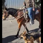 Mike Creager - Facebook