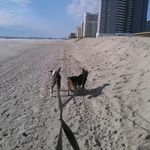 Mike Crider - @mikecridersr - Instagram