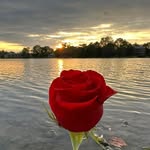 Mike Crist - @mikecrist71 - Instagram