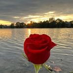 Mike Crist - Facebook