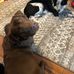 Michael Crom - Facebook