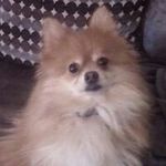 Mike Crone - @crone_mike - Instagram