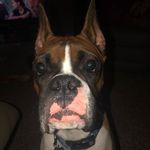 Mike crone - @montanamike62 - Instagram