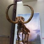Mike Croston - @croston.mike - Instagram