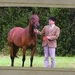 Mike Culley - @bardicstud - Instagram