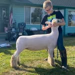 Mike Cummings - @mikecummingshampshires - Instagram