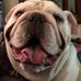 Mike and Lisa Currier - Facebook
