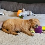 Mike Currier - @mike_psd_ - Instagram