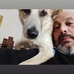 Mike Damato - @mike.dam70 - Instagram