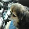 mikedanford81 - @mikedanford81 - TikTok
