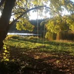 Mike Dangerfield - Facebook