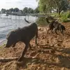mikedangerfield63 - @mikedangerfield63 - TikTok