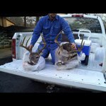 @mikedarden - Instagram