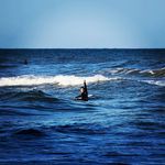 Mike Debo - @mikedebo_ - Instagram