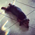 Mike lopez - @mike_de_bolivia - Instagram