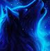 Mike Declercq - Facebook