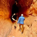 Mike DeCourcey - @dagcourcey - Instagram
