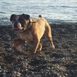 Mike de dog.. - @mikededog - Instagram