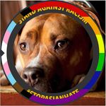 Mike Dedogge - @mikededogge - Instagram