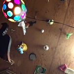 Mike DeDora - @mikededora - Instagram