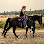 Mike Deery - @zo6deery - Instagram