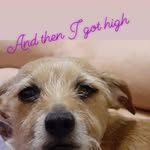 Mike Dees - @mikeandtina7573 - Instagram
