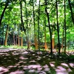 Mike Defore - @mikedefore - Instagram