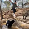 Mike del tigre experiencias mx - @mikebataz1 - TikTok