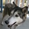 mikedanddouggie - @mikedelacey - TikTok