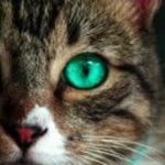 Mike Delano - @mike.delano.1291 - Instagram