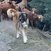 Mike Delfino - @mikedelfino_ - TikTok