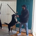 Mike D’Elia - @mike.vermin - Instagram