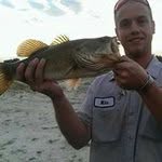 Mike Delisi - @mikedelisi - Instagram