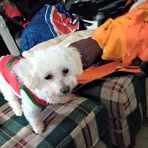 Mike Delisle - Facebook