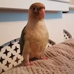 Mike Dell - @dell5157 - Instagram