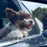 @mike_dellaria - Instagram