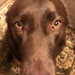 Mike DeLozier - @mdelozier1 - Instagram