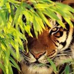 Mike Delta - @mike.delta.7 - Instagram