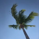 Mike Demaree - @mikedemaree - Instagram