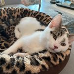 Mike Demars - @mdblues - Instagram