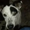 Mike Denley - @mike.denley - TikTok