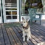 Mike Deschenes - @mike.deschenes3 - Instagram