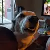 Mike Deschenes - @mike.deschenes01 - TikTok